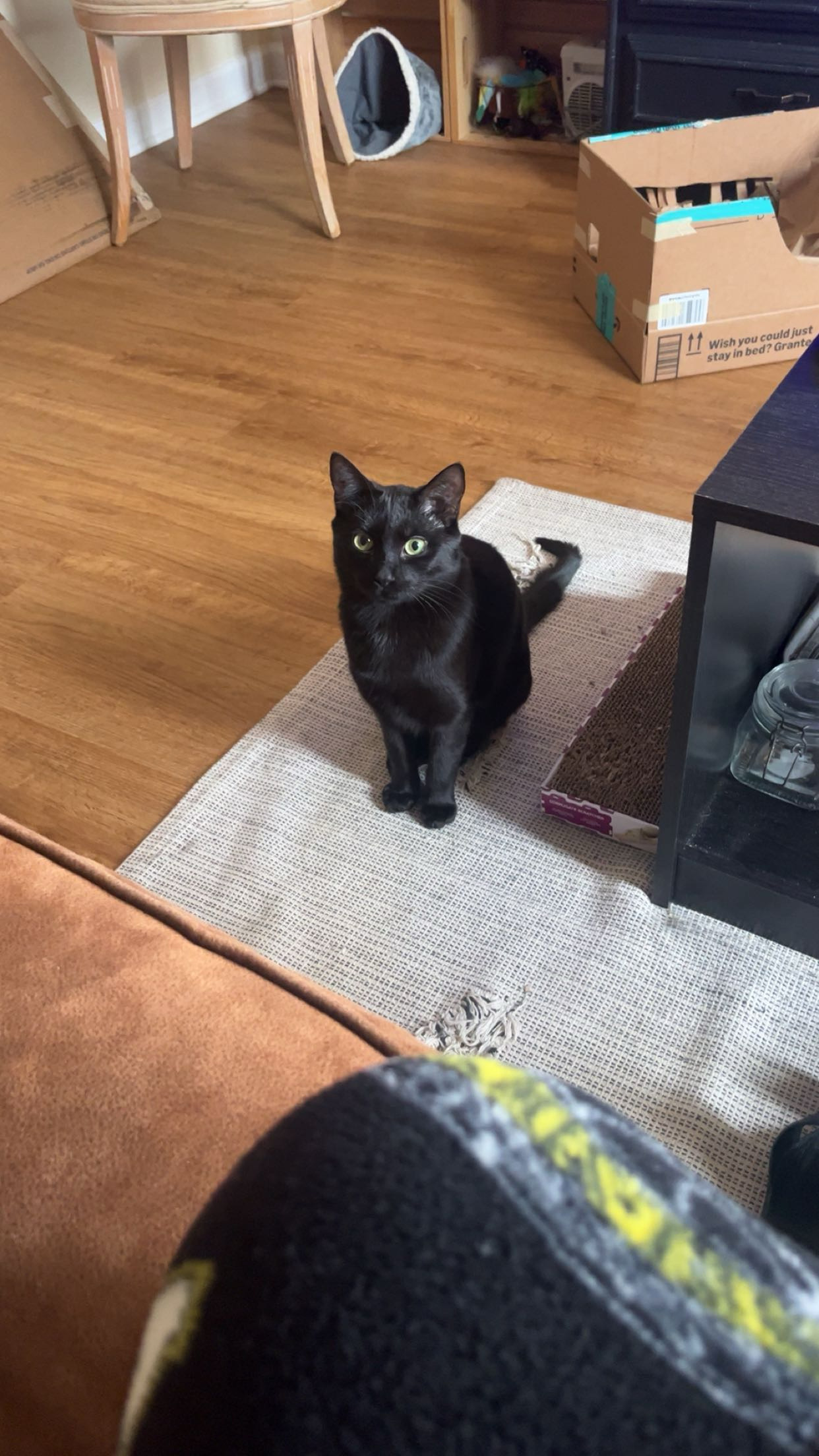 Salem
